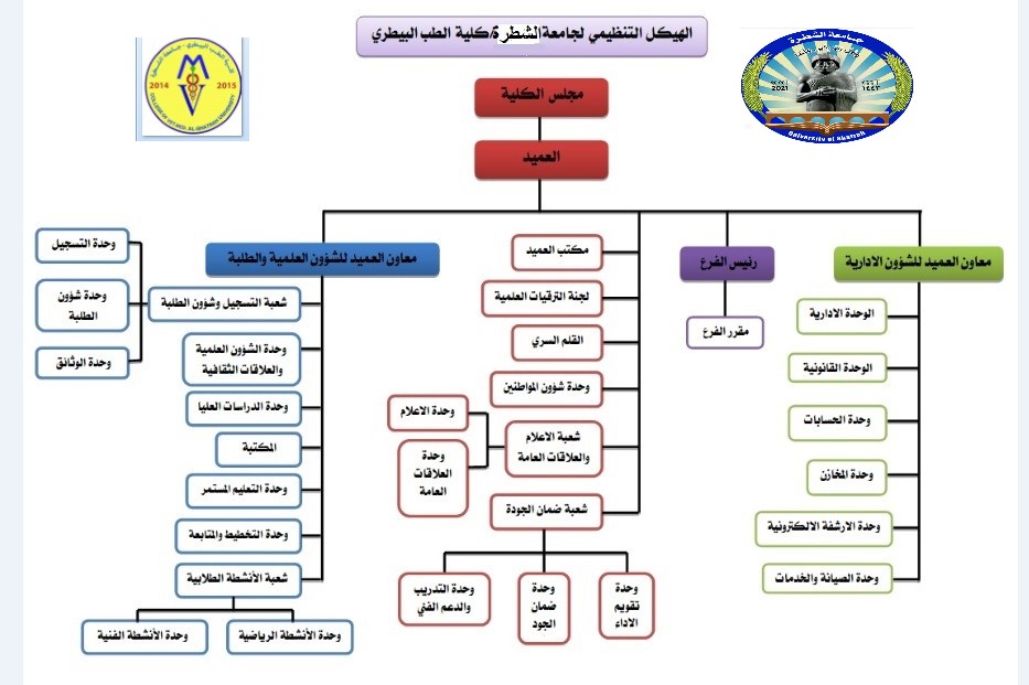Administrative Structure of the College